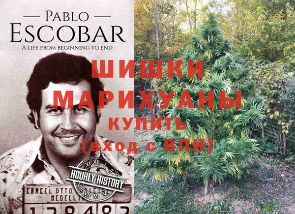 соль ск Абдулино