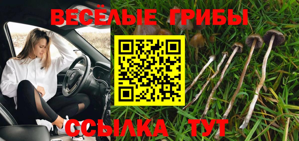 Псков  Псилоцибиновые грибы Magic Shrooms  Вход с VPN 