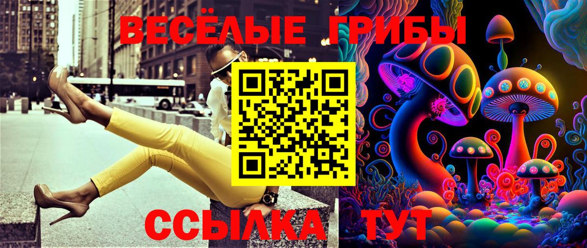 Псилоцибиновые грибы прущие грибы Псков